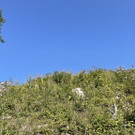 IMG_7196.jpg