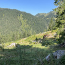 IMG_7197.jpg