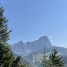IMG_7204.jpg