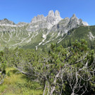 IMG_7214.jpg