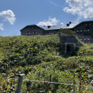 IMG_7264.jpg
