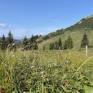 IMG_7228.jpg