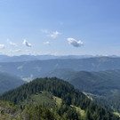IMG_7233.jpg