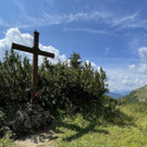 IMG_7246.jpg