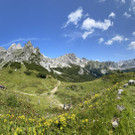 IMG_7260.JPG