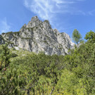IMG_7282.jpg