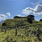 IMG_7265.jpg