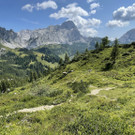 IMG_7268.jpg