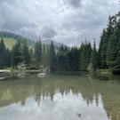 IMG_7486.jpg