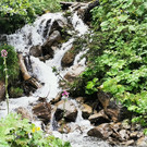 IMG_20210826_105532.jpg