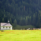 Nenzinger Himmel 260821_12 - Kopie.JPG