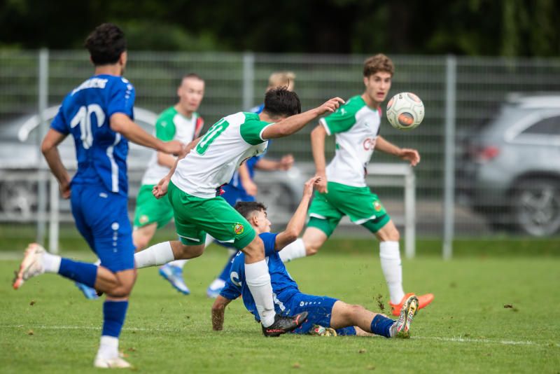 file7hazv2ybr0j1lipvui8n.jpg