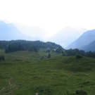 847414.jpg