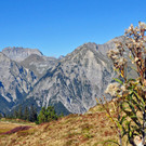 Bild 750x422-06.jpg