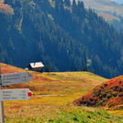 Bild 750x422-12.jpg