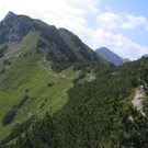 847421.jpg