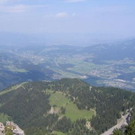 847424.jpg