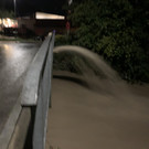 image00006.jpeg