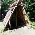 DSCI4984.JPG