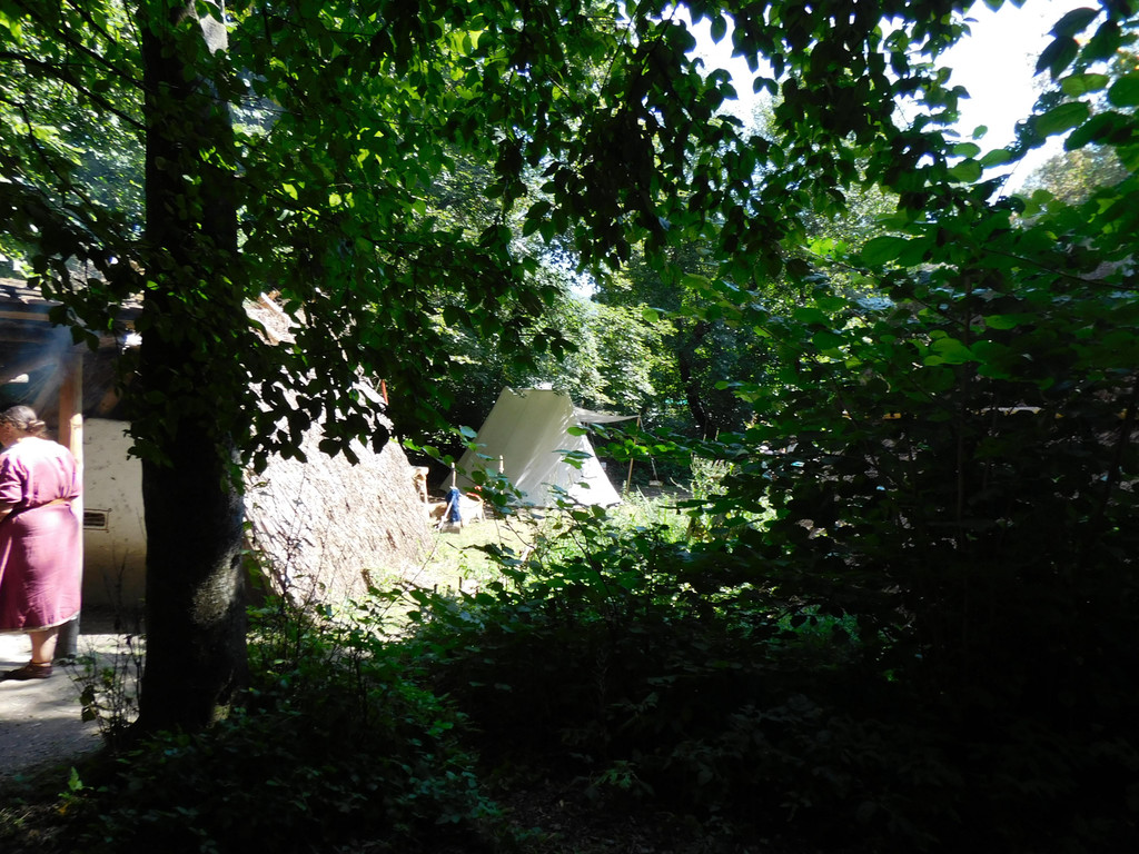 DSCI4985.JPG