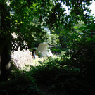DSCI4985.JPG