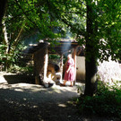 DSCI4986.JPG
