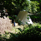 DSCI4987.JPG