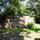 DSCI4990.JPG