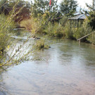 IMG_4429.jpg