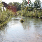 IMG_4430.jpg