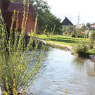 IMG_4431.jpg