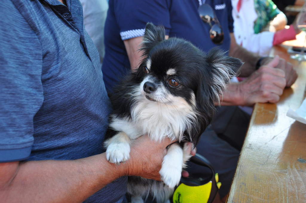 DSC_0601.JPG