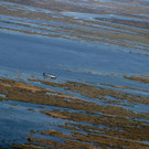 AFP_9M839W.jpg