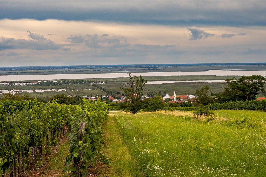 2_ RW Neusiedlersee.jpg