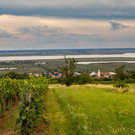 2_ RW Neusiedlersee.jpg