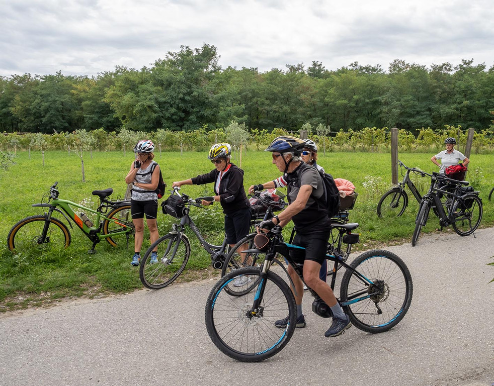 3_ RW Neusiedlersee.jpg