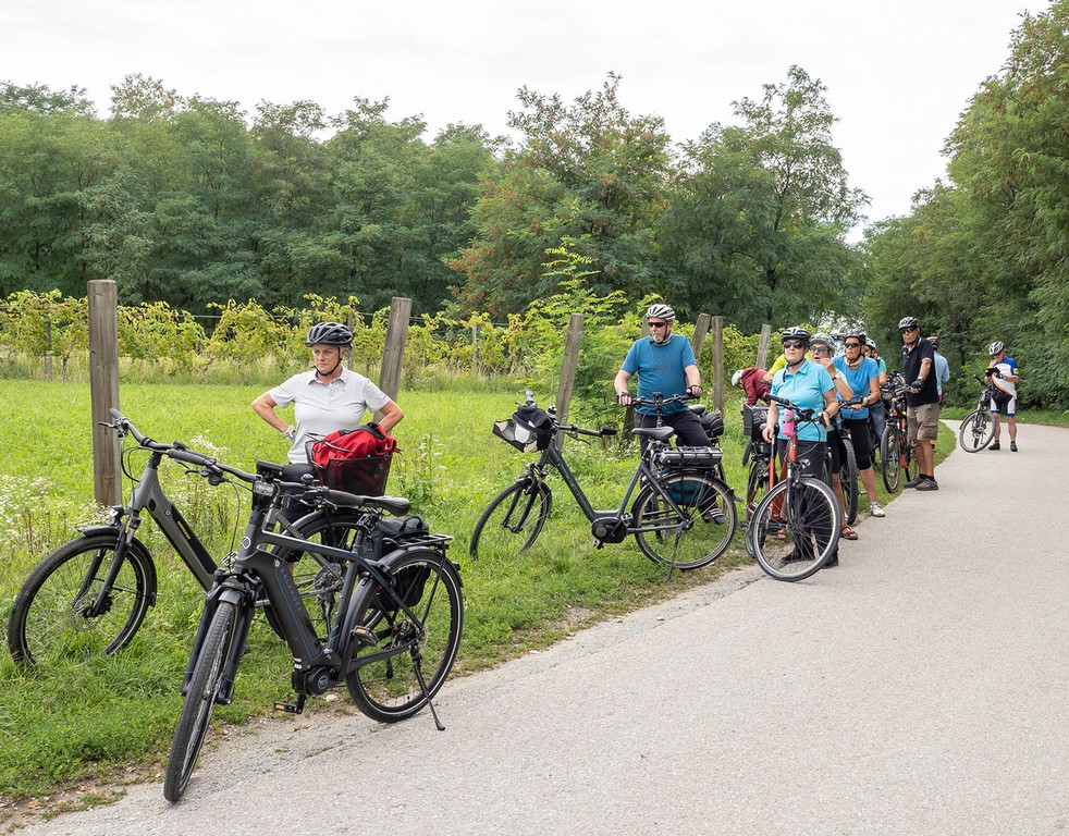 4_ RW Neusiedlersee.jpg