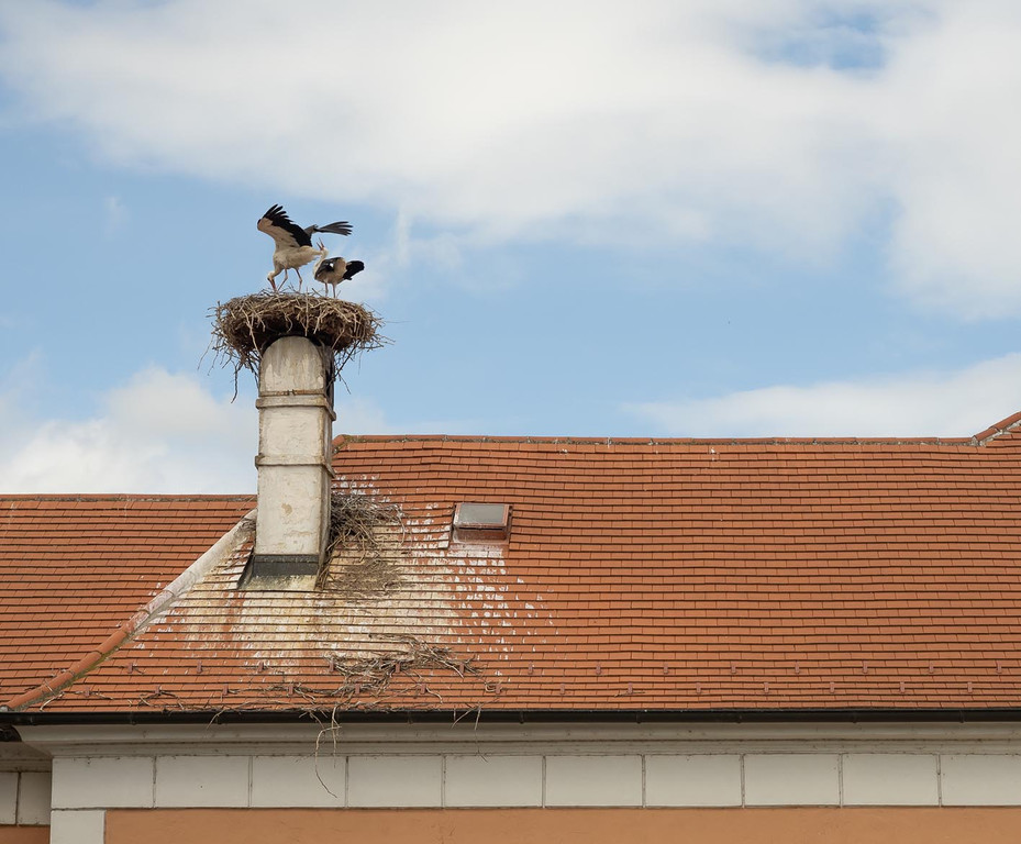 7_ RW Neusiedlersee.jpg