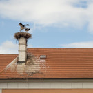 7_ RW Neusiedlersee.jpg