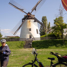 14_ RW Neusiedlersee.jpg