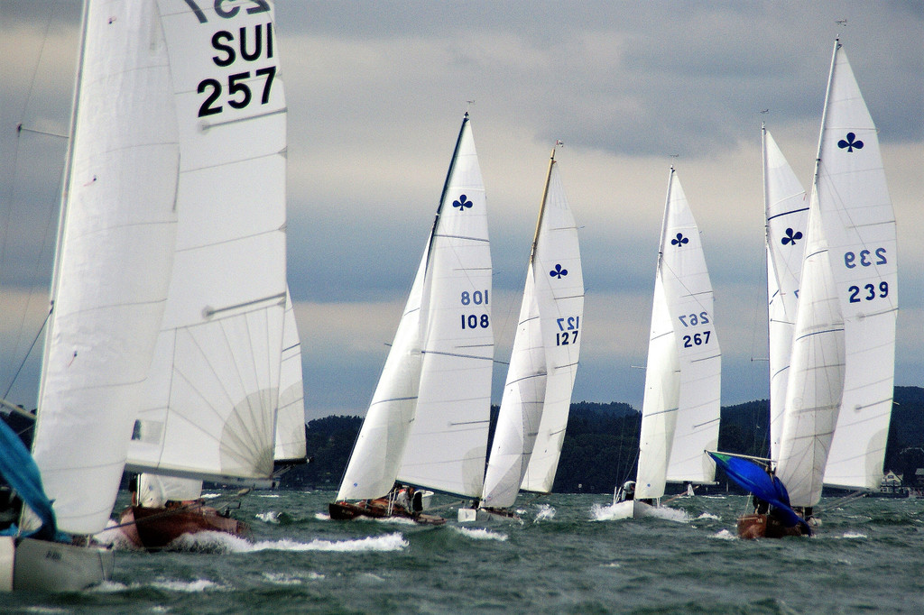 DSC03041.jpg