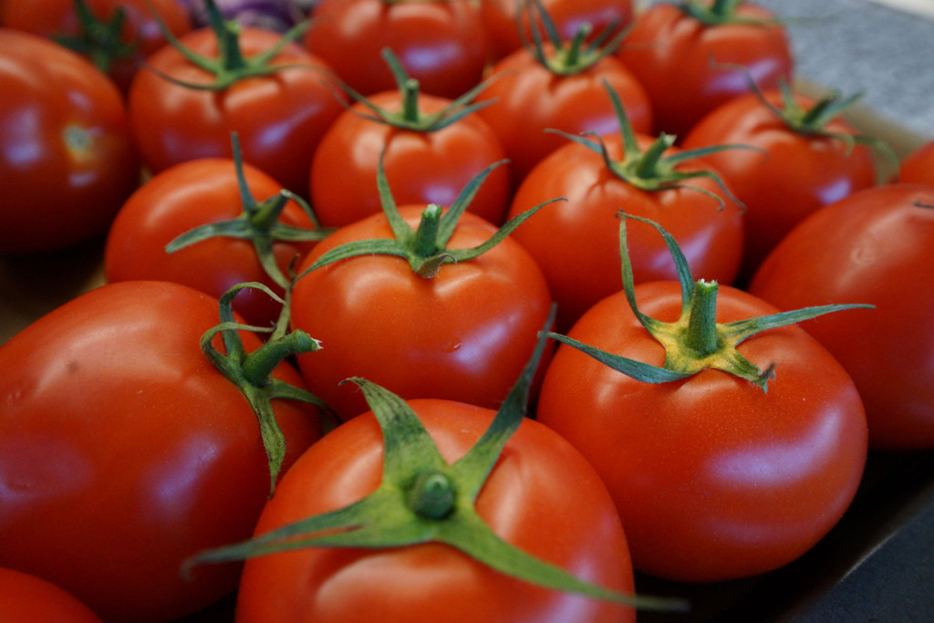 Tomatenkurs _6_.JPG