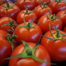 Tomatenkurs _6_.JPG
