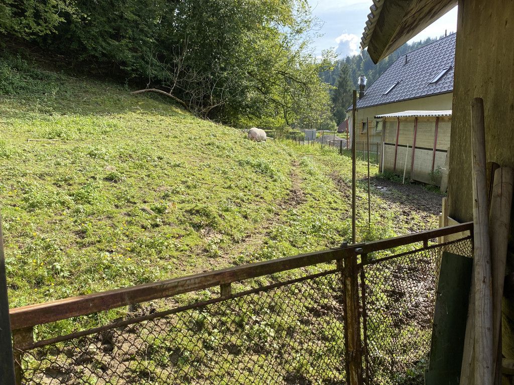 20210907_133511589_iOS.jpg