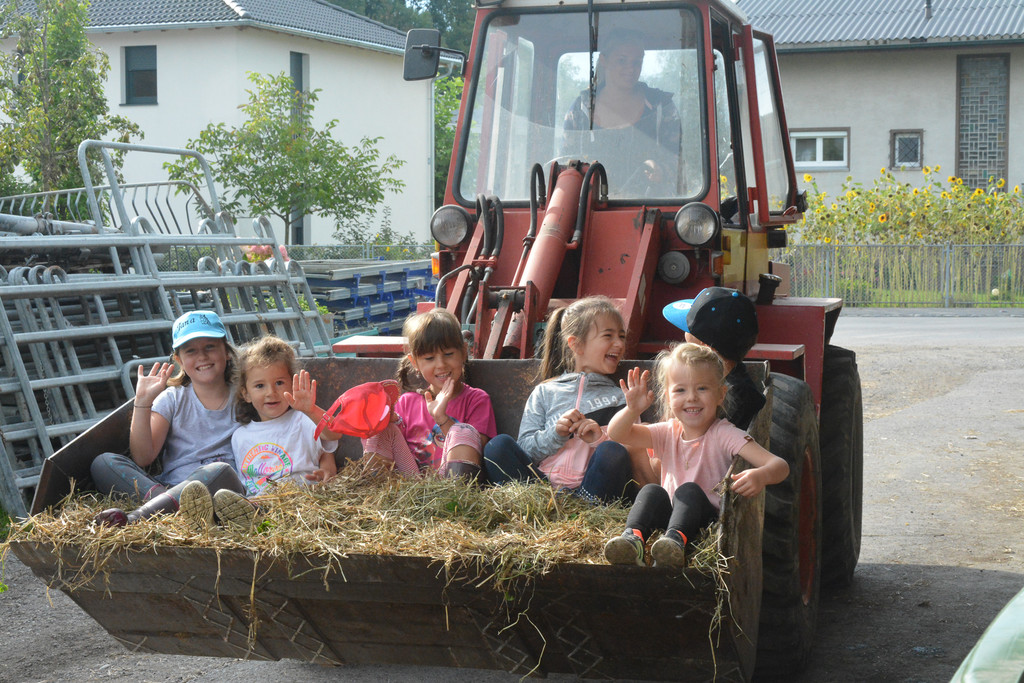 heu transportieren.jpg