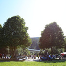 IMG_6942.JPG