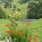 Singgruppe des PVÖ Bludenz ins Große Walsertal