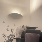 Katze Bild 1.jpg