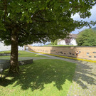 IMG_1940.jpeg