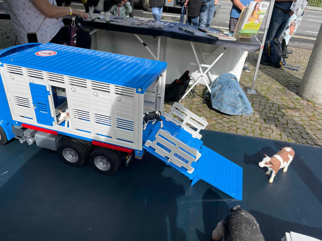 2021-09-11_Demo Bregenz Tiertransporte_1.jpeg